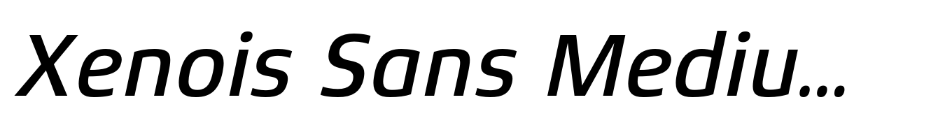 Xenois Sans Medium Italic